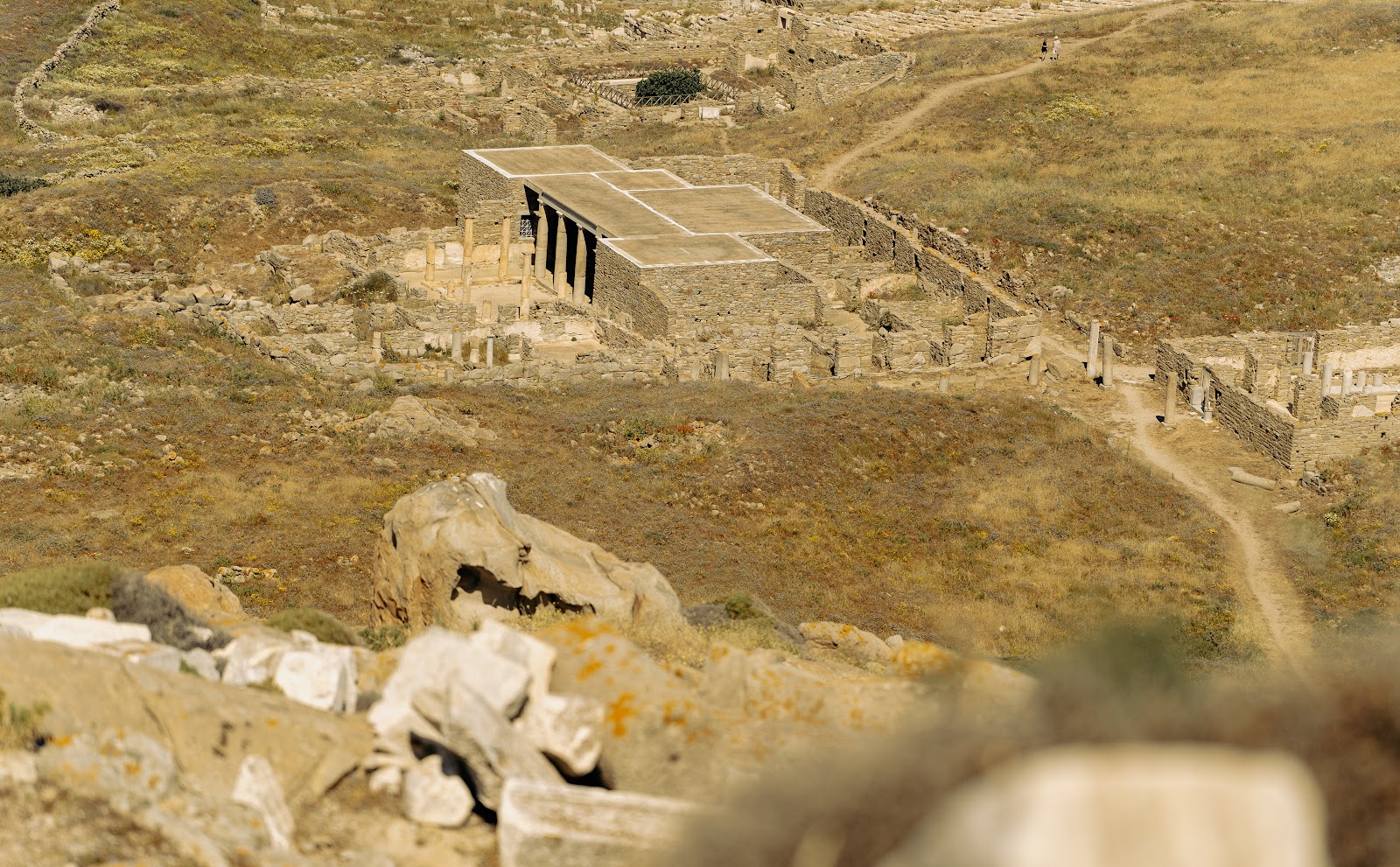 Αρχαιολογικός χώρος και πεδίο παρακολούθησης στη Δήλο